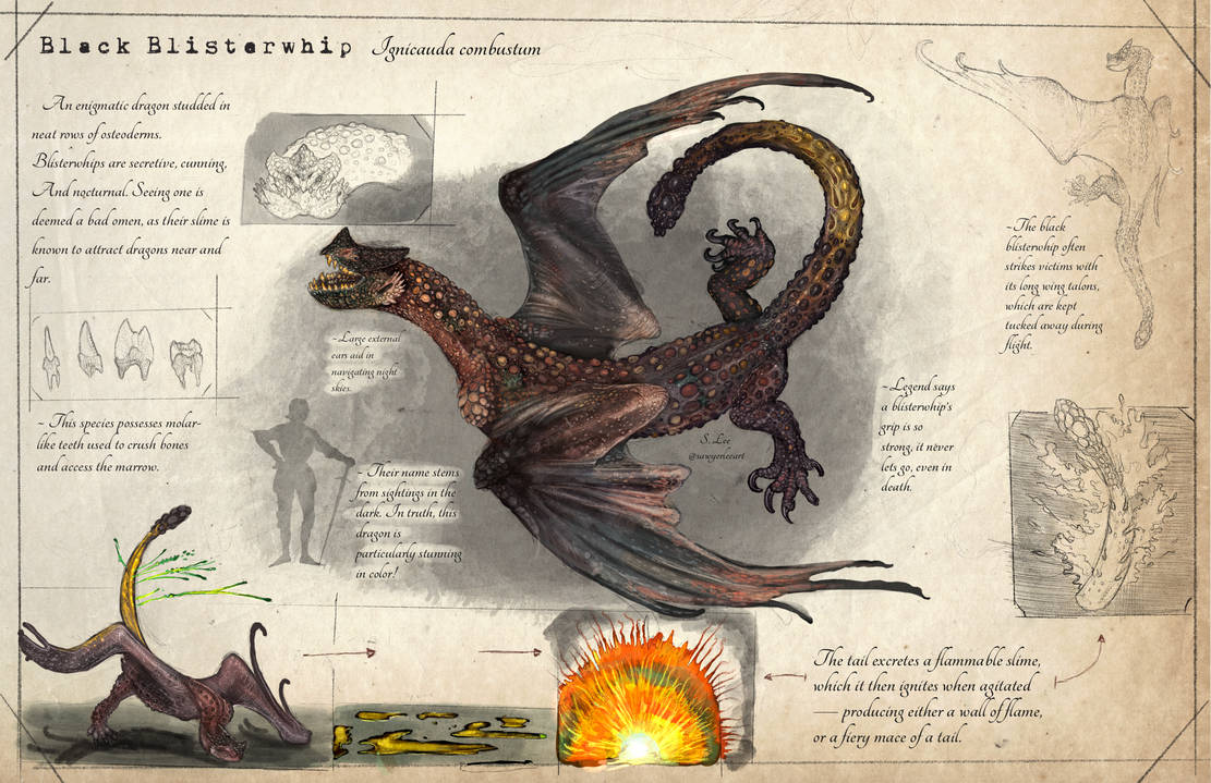 Slayer Codex Black Blisterwhip species (Dragonslayer Codex) by SawyerLeeArt on ...