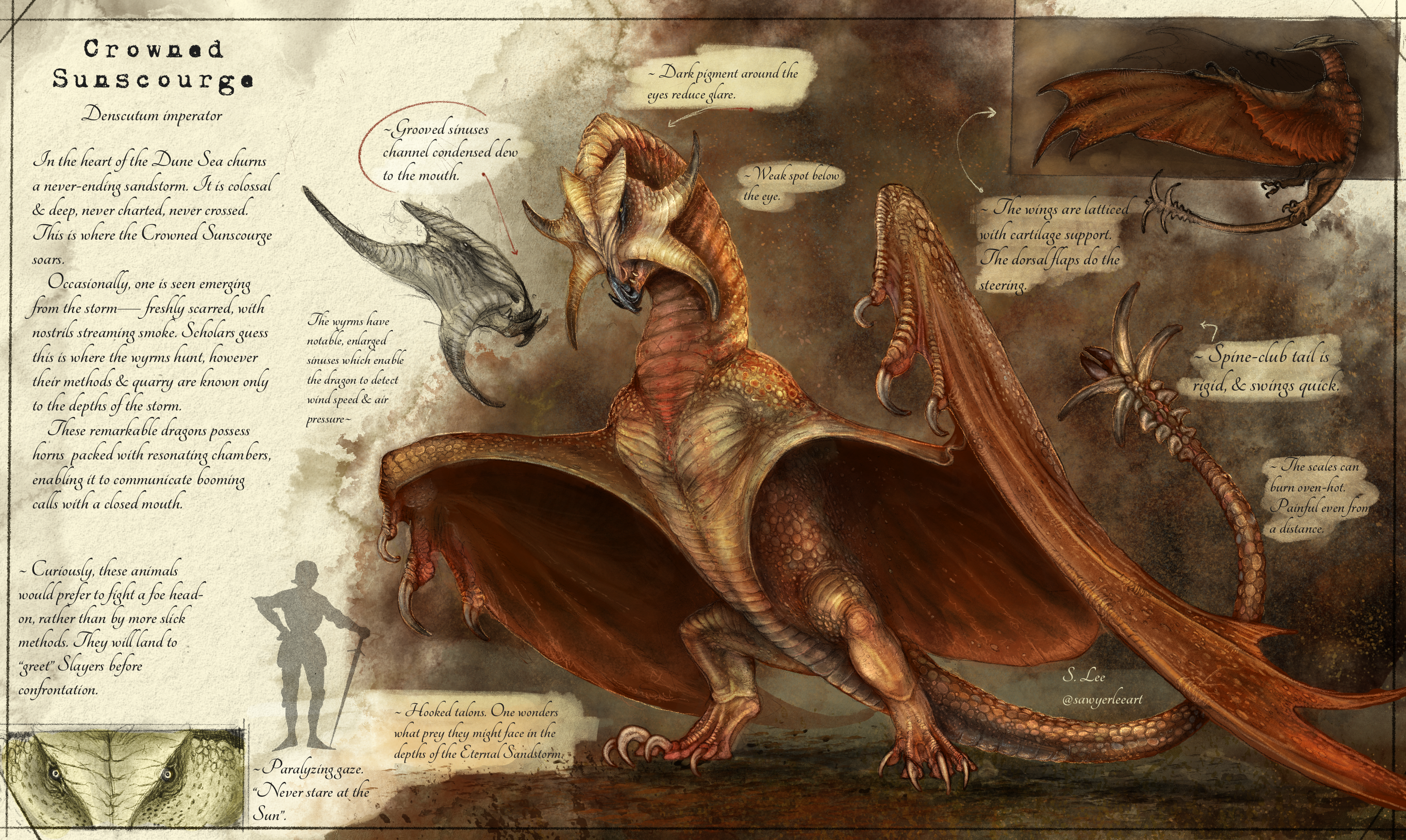 Crowned Sunscourge species (Dragonslayer Codex) by SawyerLeeArt on  DeviantArt