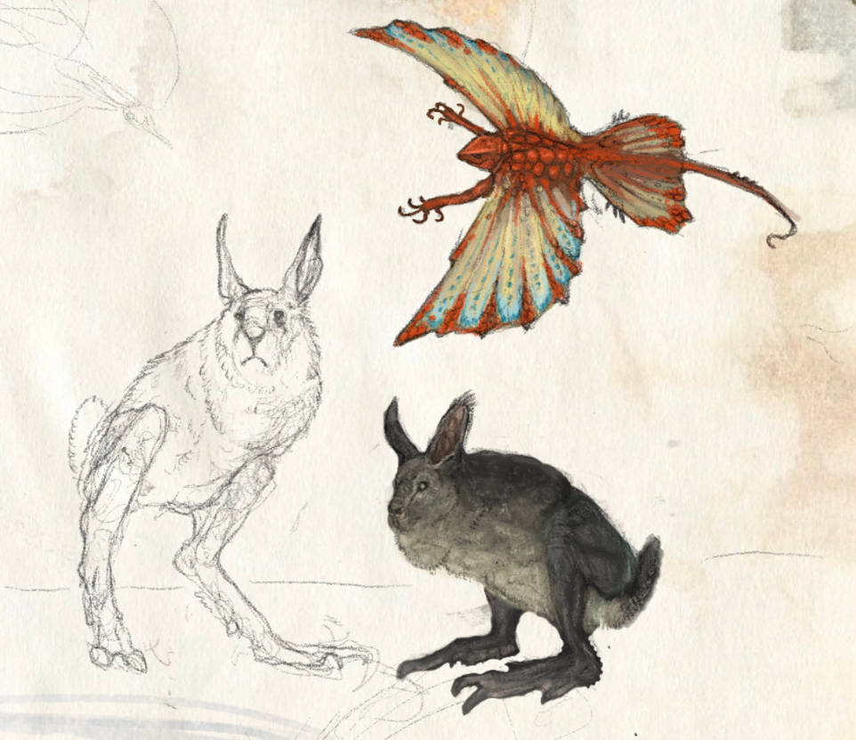 Slayer Codex Ambient animals (Dragonslayer Codex) by SawyerLeeArt on DeviantArt
