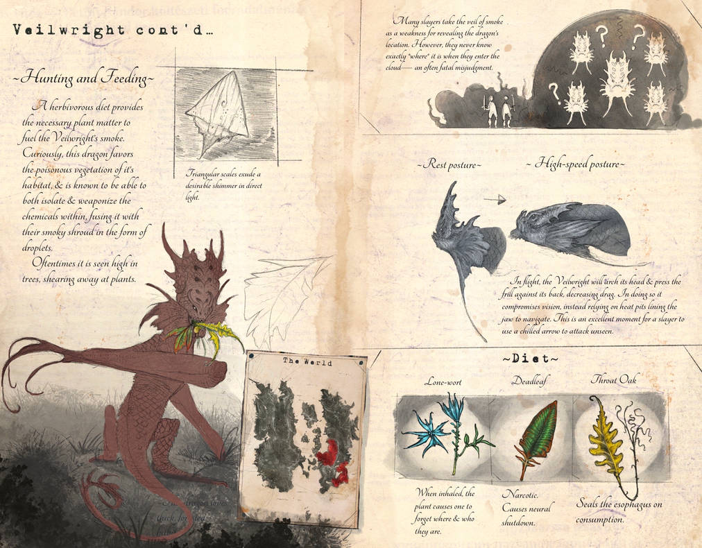 Slayer Codex Veilwright Biology (Dragonslayer Codex) by SawyerLeeArt on DeviantArt