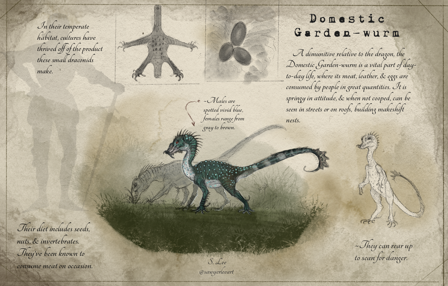 Crowned Sunscourge species (Dragonslayer Codex) by SawyerLeeArt on  DeviantArt