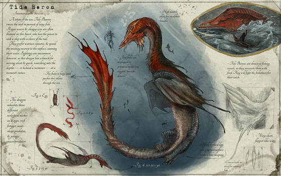 Tide Baron species (Dragonslayer Codex)