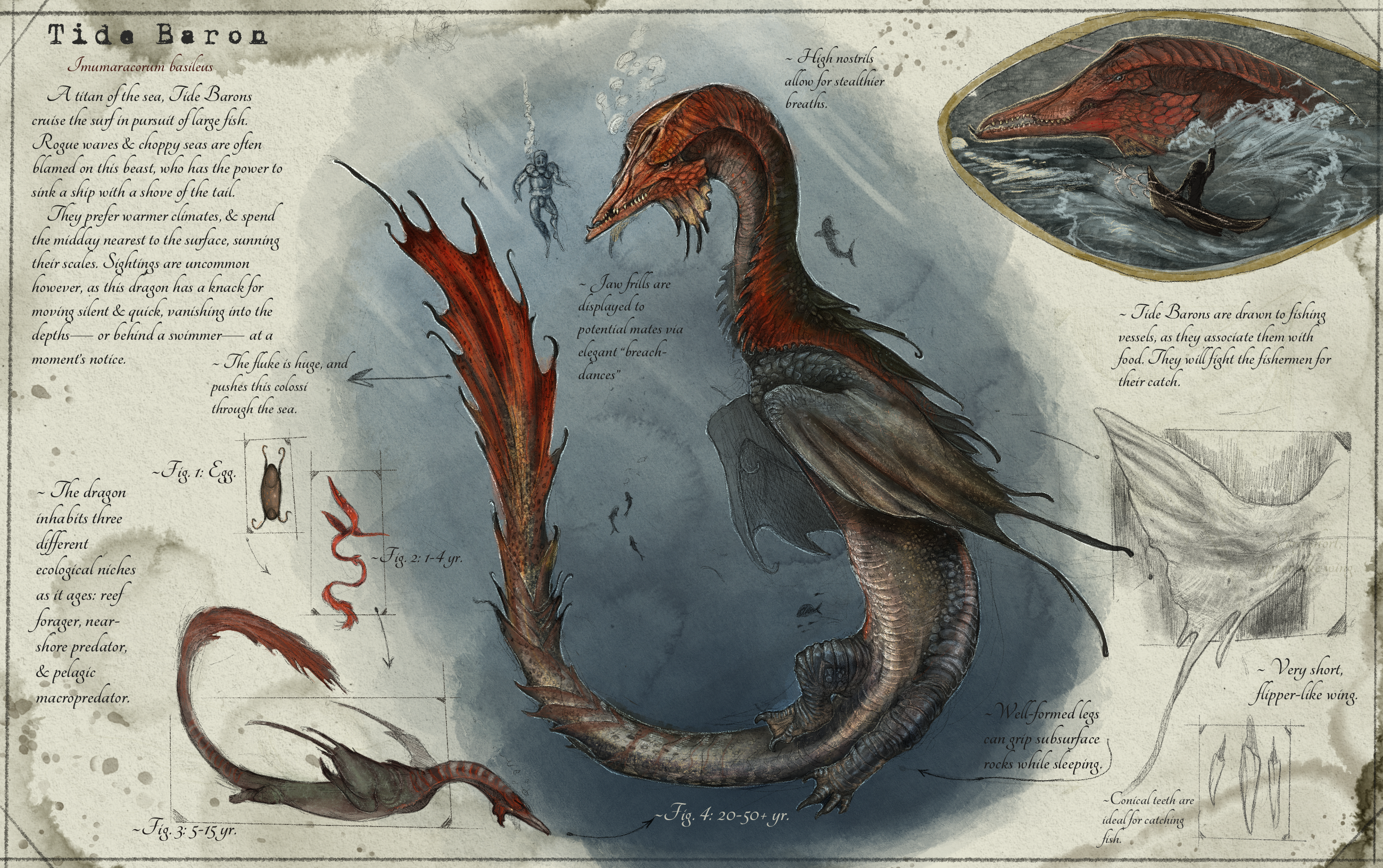 Armorhead Subspecies (Dragonslayer Codex) by SawyerLeeArt on DeviantArt