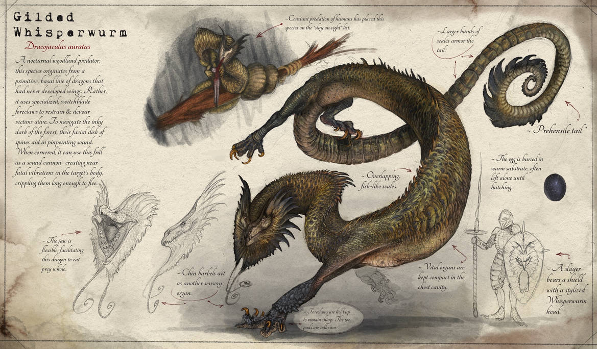 Slayer Codex Gilded Whisperwurm (Dragonslayer Codex) by SawyerLeeArt on DeviantArt