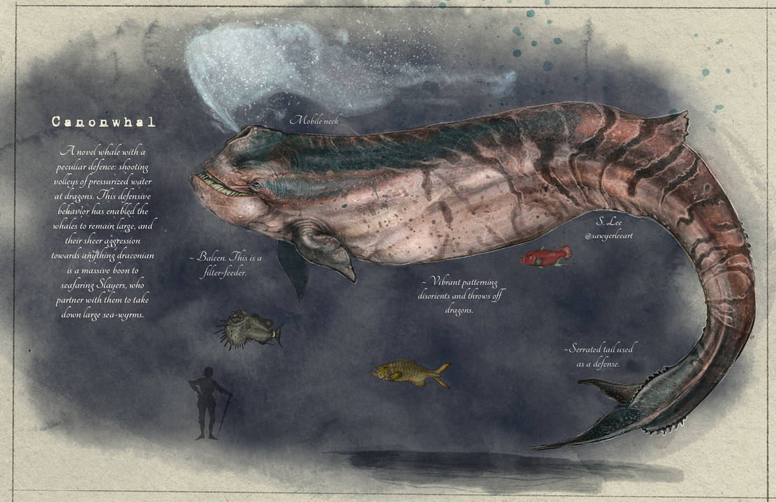 Slayer Codex Cannonwhal (Dragonslayer Codex) by SawyerLeeArt on DeviantArt