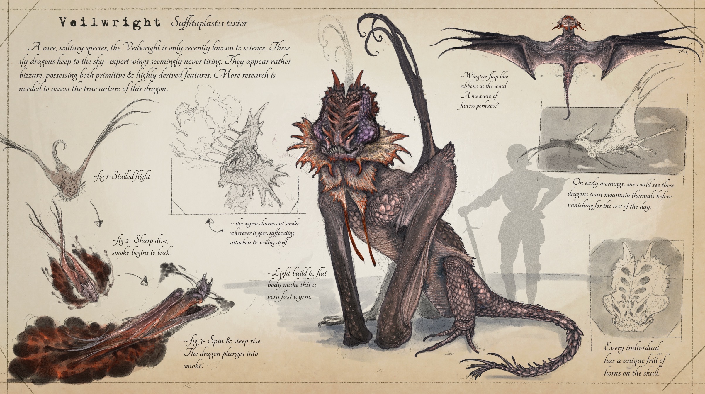 Veilwright species (Dragonslayer Codex) by SawyerLeeArt on DeviantArt