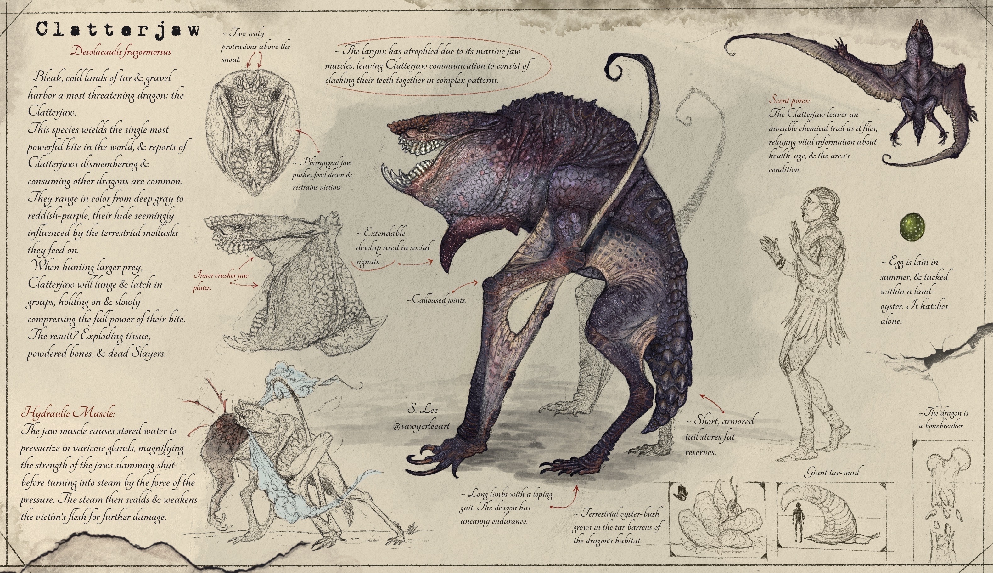 Slayer Codex Clatterjaw Species (Dragonslayer Codex) by SawyerLeeArt on DeviantArt