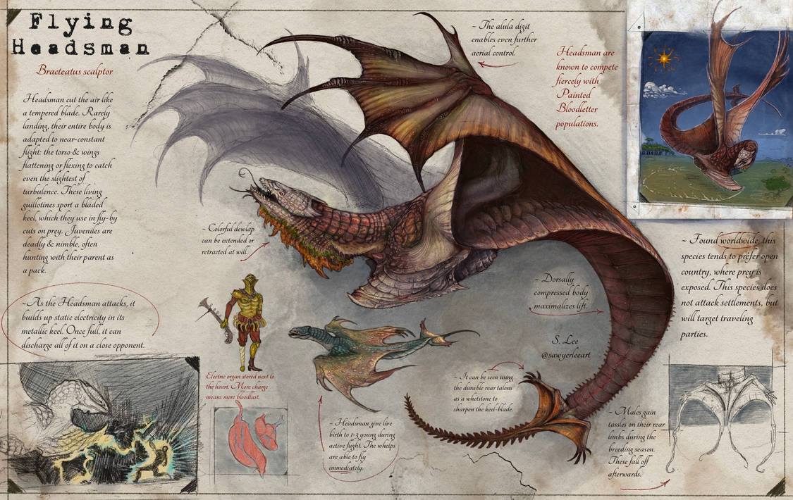 Slayer Codex Flying Headsman (Dragonslayer Codex) by SawyerLeeArt on DeviantArt