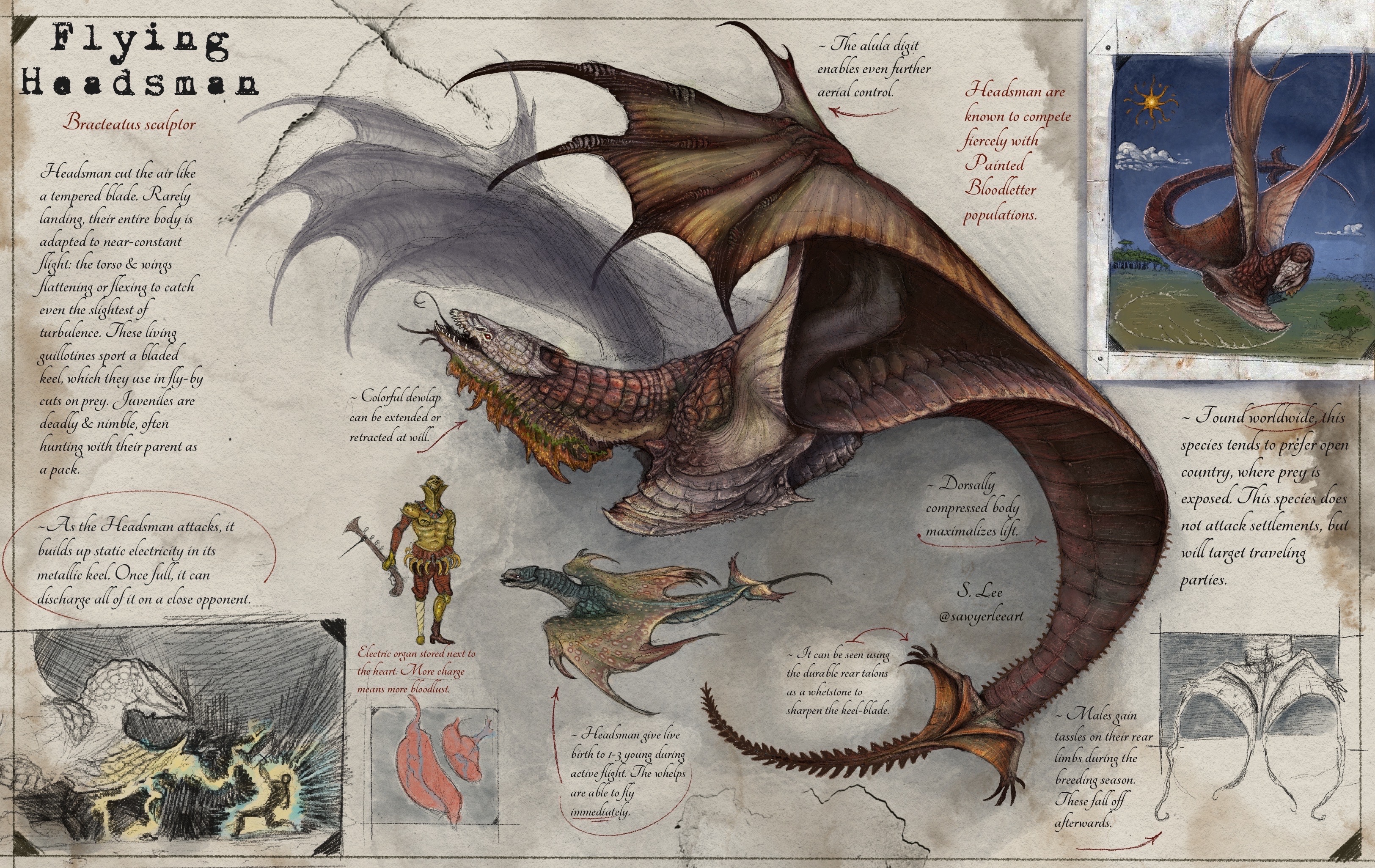 Holdtaker species (Dragonslayer Codex) by SawyerLeeArt on DeviantArt