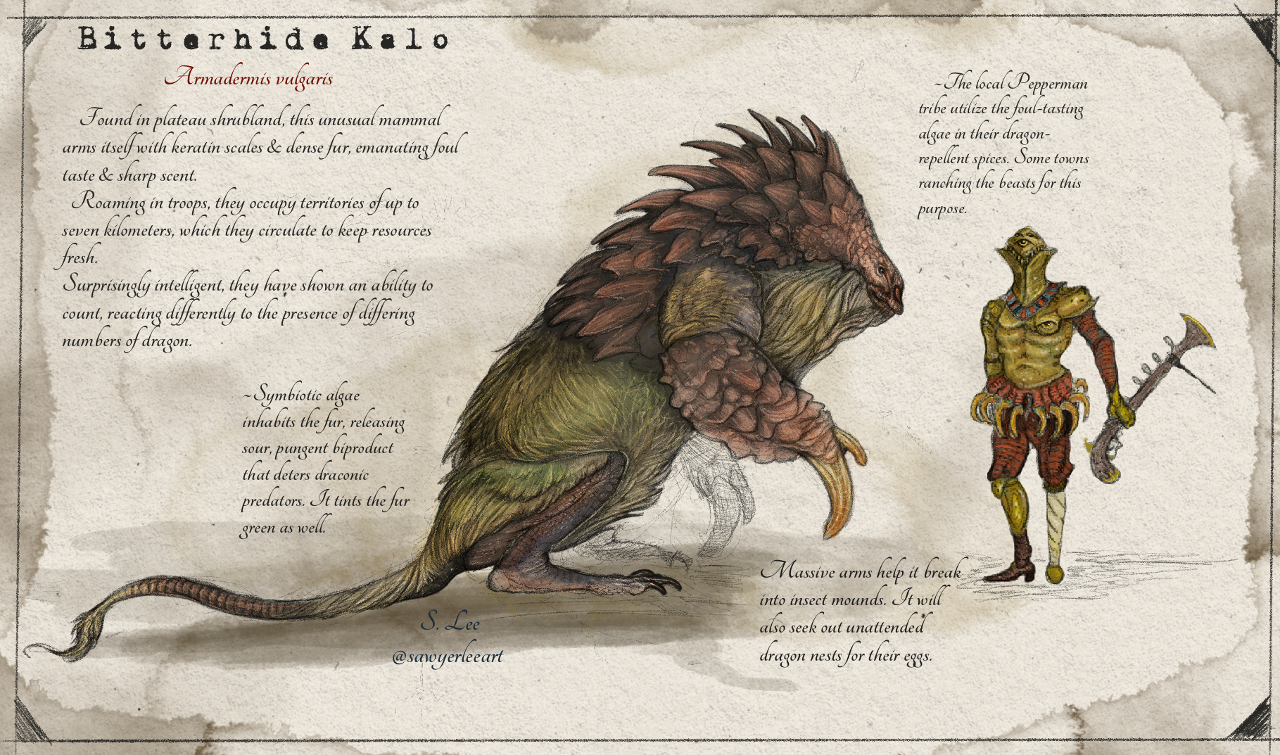 Hullbreaker dragon species (Dragonslayer Codex) by SawyerLeeArt on  DeviantArt