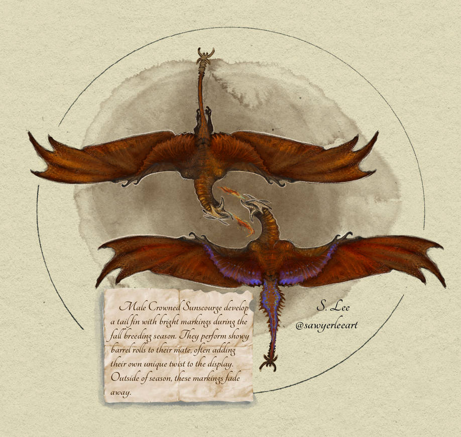 Slayer Codex Crowned Sunscourge Courting (Dragonslayer Codex) by SawyerLeeArt on ...