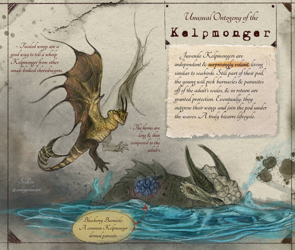 Slayer Codex Kelpmonger Ontogeny (Dragonslayer Codex) by SawyerLeeArt on DeviantArt
