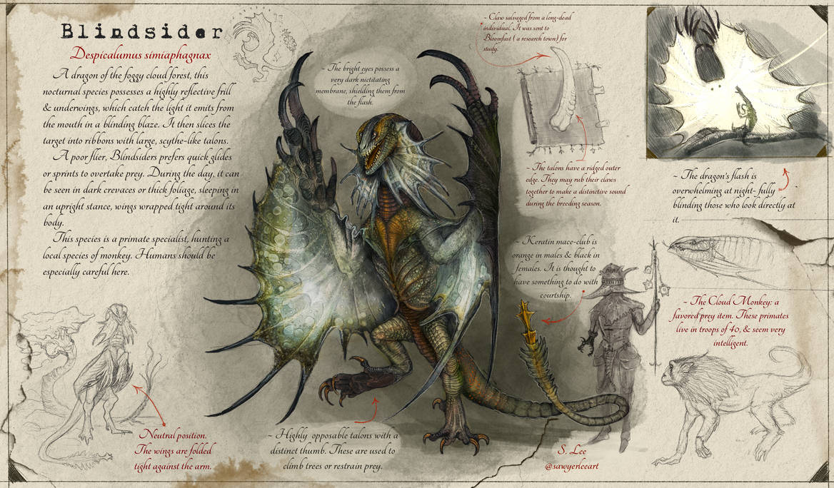 Blindsider Species Dragonslayer Codex By SawyerLeeArt On DeviantArt blindsider-species-dragonslayer-codex-by-sawyerleeart-on-deviantart