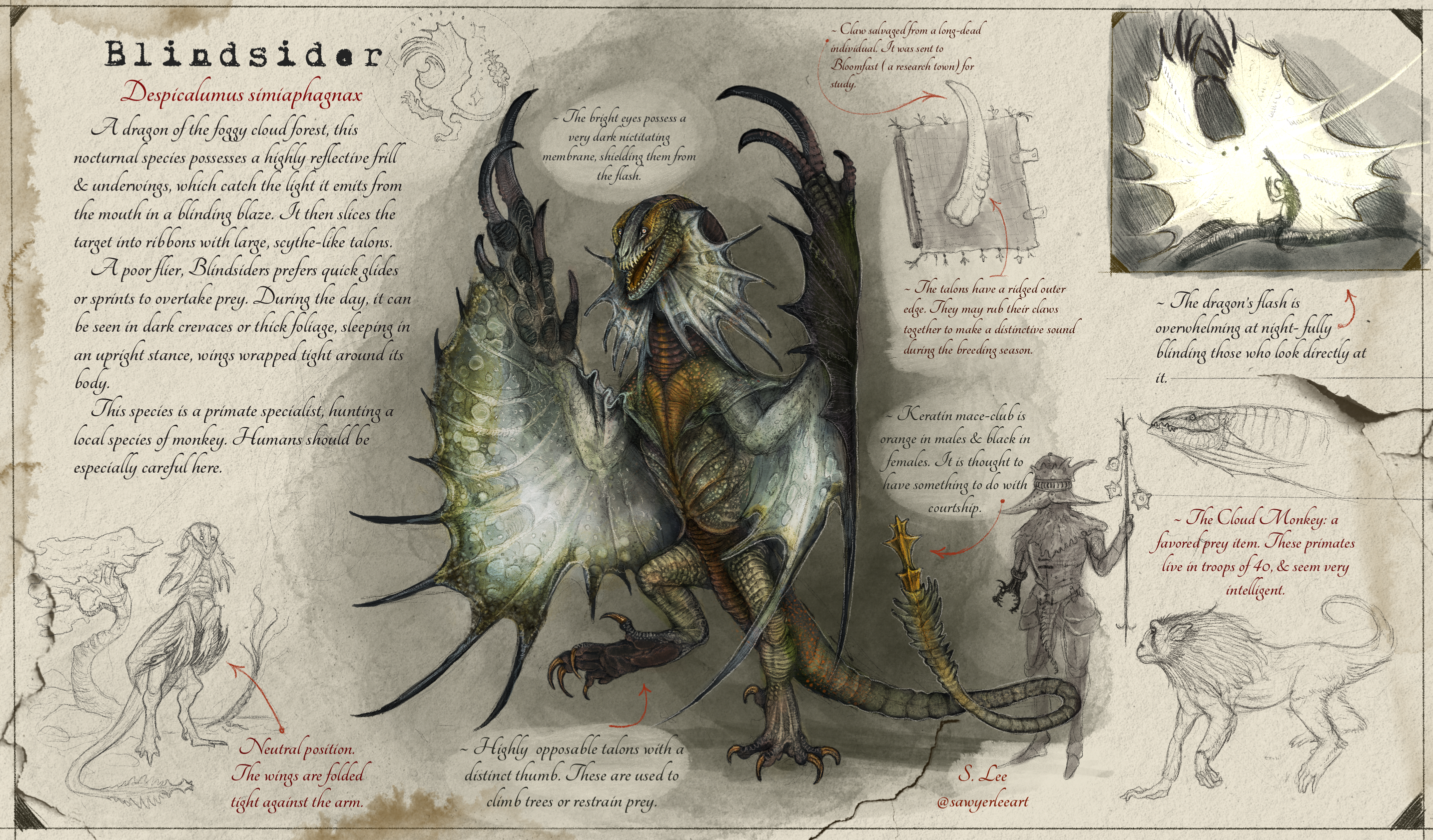 Blindsider species (Dragonslayer Codex) by SawyerLeeArt on DeviantArt