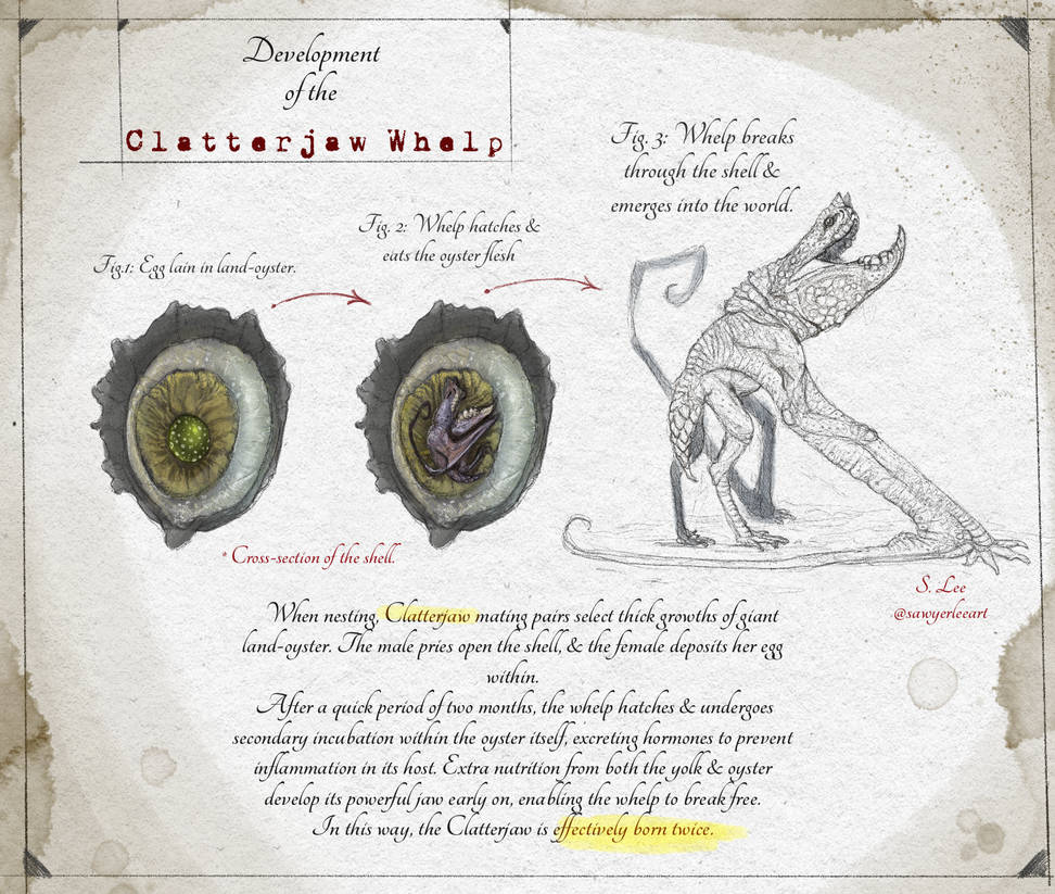 Slayer Codex Clatterjaw Young (Dragonslayer Codex) by SawyerLeeArt on DeviantArt