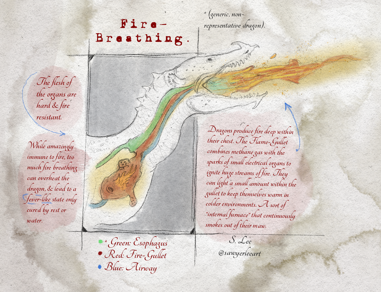 Holdtaker Whelp Info (Dragonslayer Codex) by SawyerLeeArt on DeviantArt