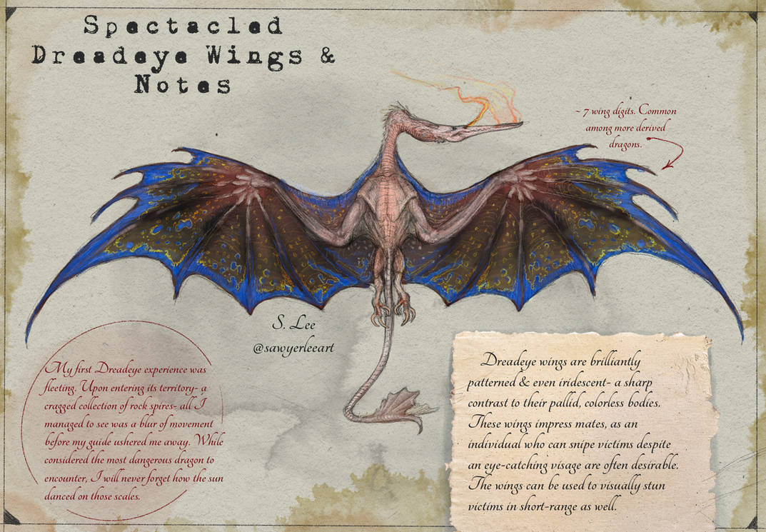 Slayer Codex Spectacled Dreadeye Wings (Dragonslayer Codex) by SawyerLeeArt on ...