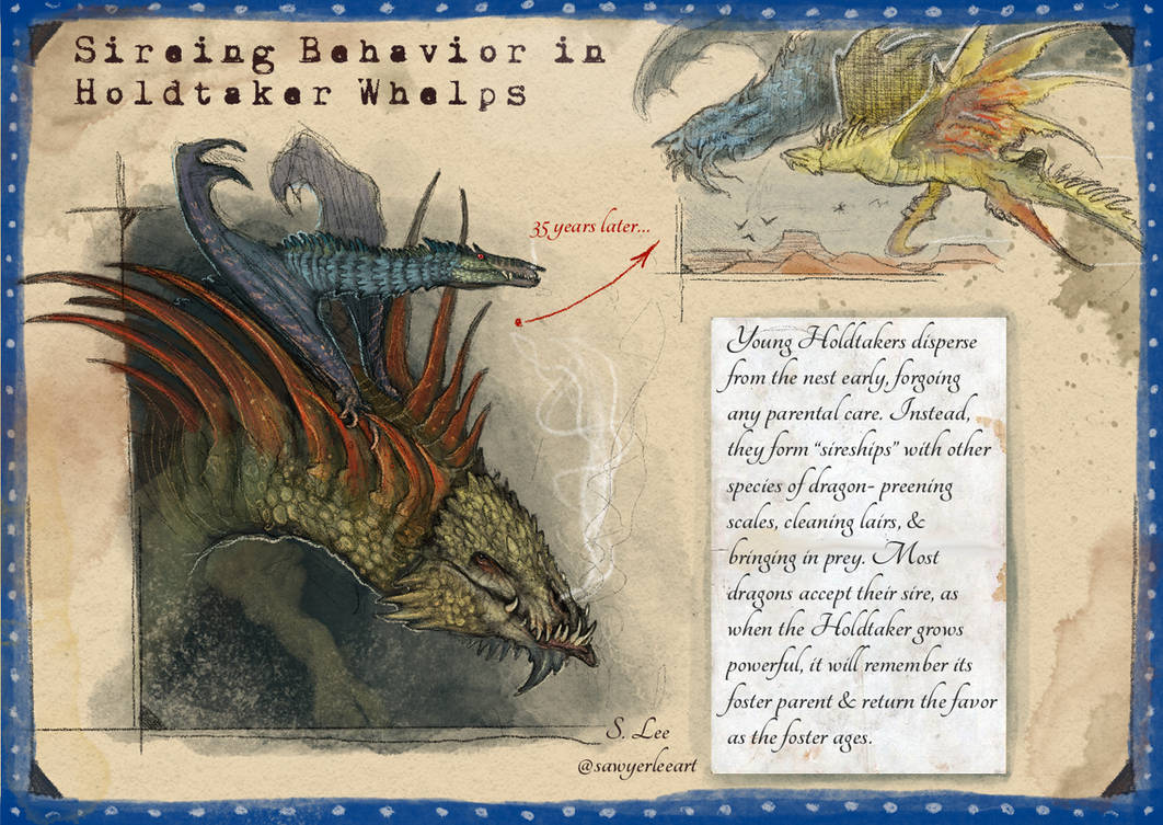 Slayer Codex Holdtaker Whelp Info (Dragonslayer Codex) by SawyerLeeArt on DeviantArt