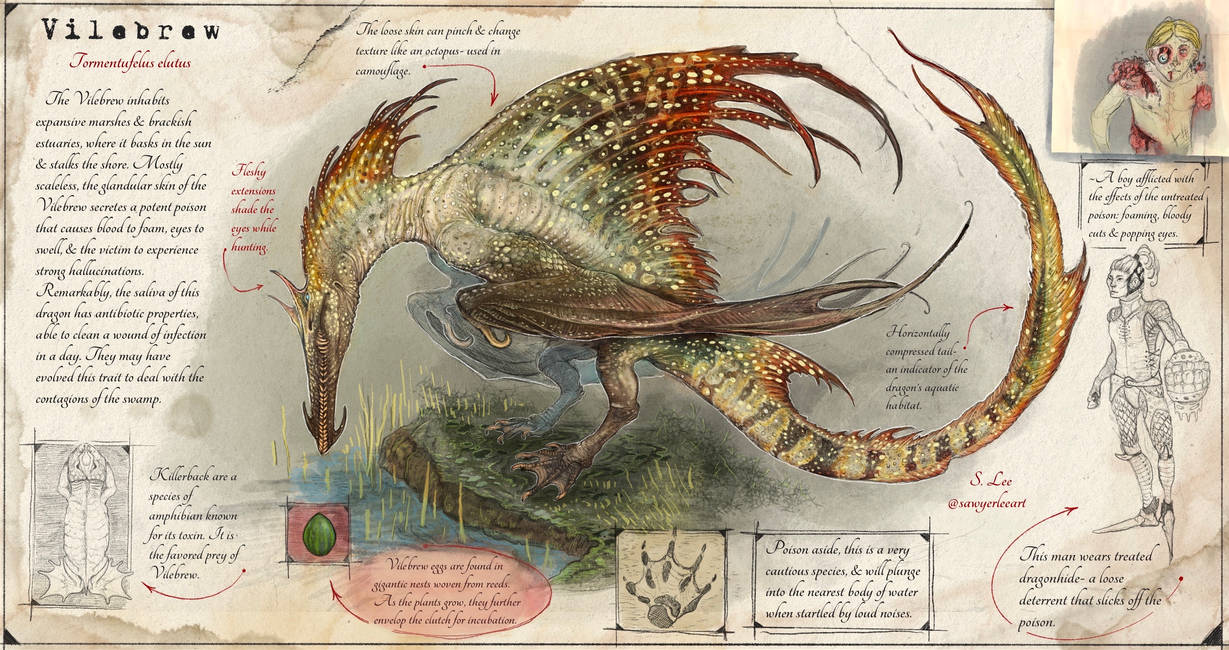 Slayer Codex Vilebrew species (Dragonslayer Codex) by SawyerLeeArt on DeviantArt