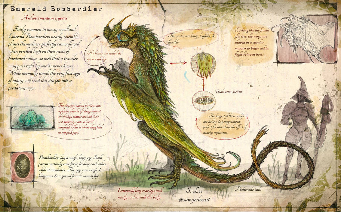 Slayer Codex Emerald Bombardier v2 (Dragonslayer Codex) by SawyerLeeArt on DeviantArt