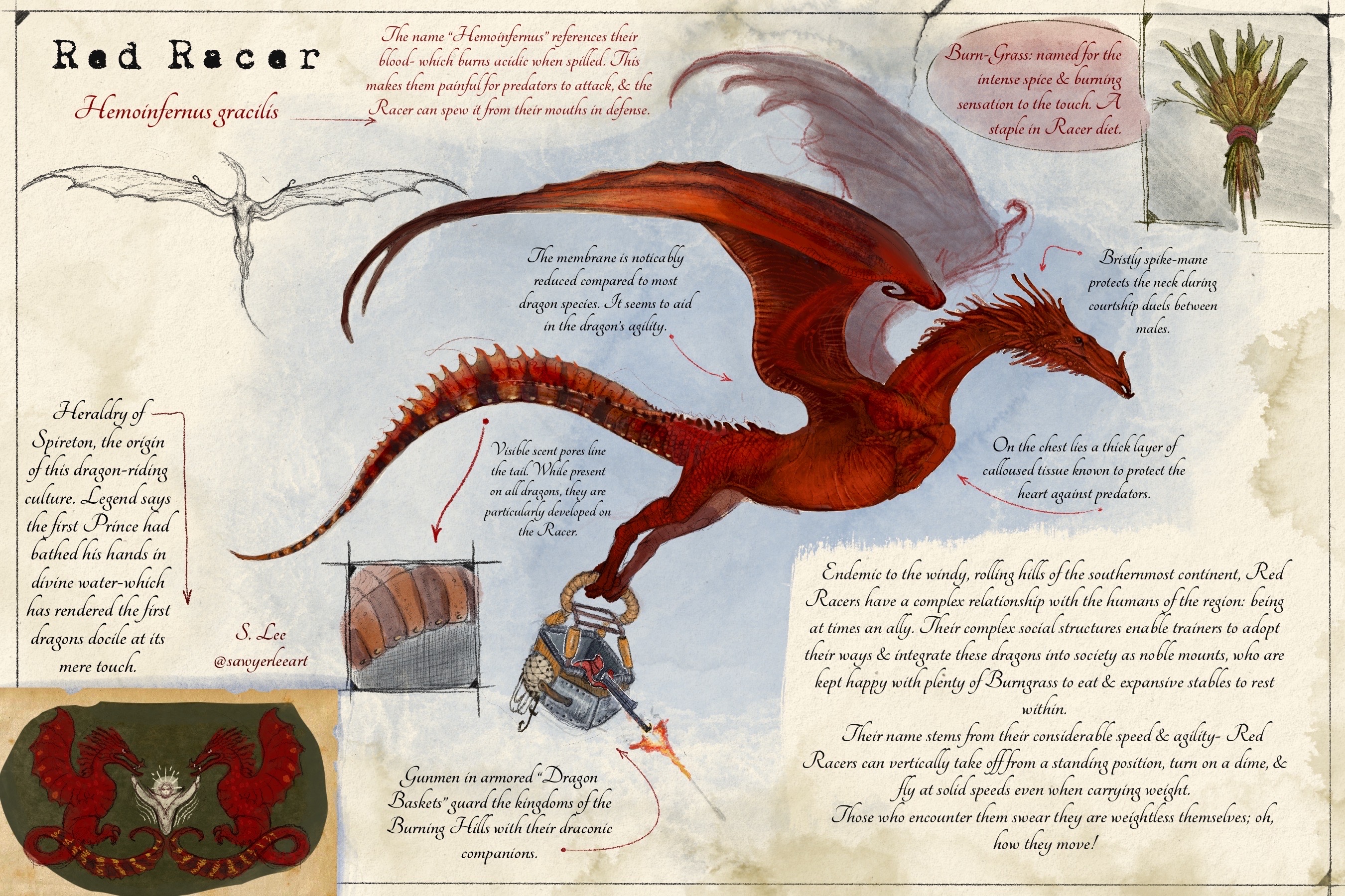 Blindsider species (Dragonslayer Codex) by SawyerLeeArt on DeviantArt