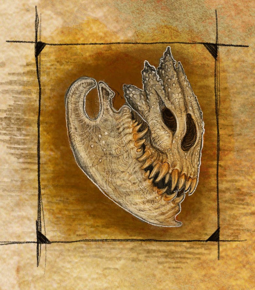 Skull Rattler Rattle Dread Skull by SawyerLeeArt on DeviantArt