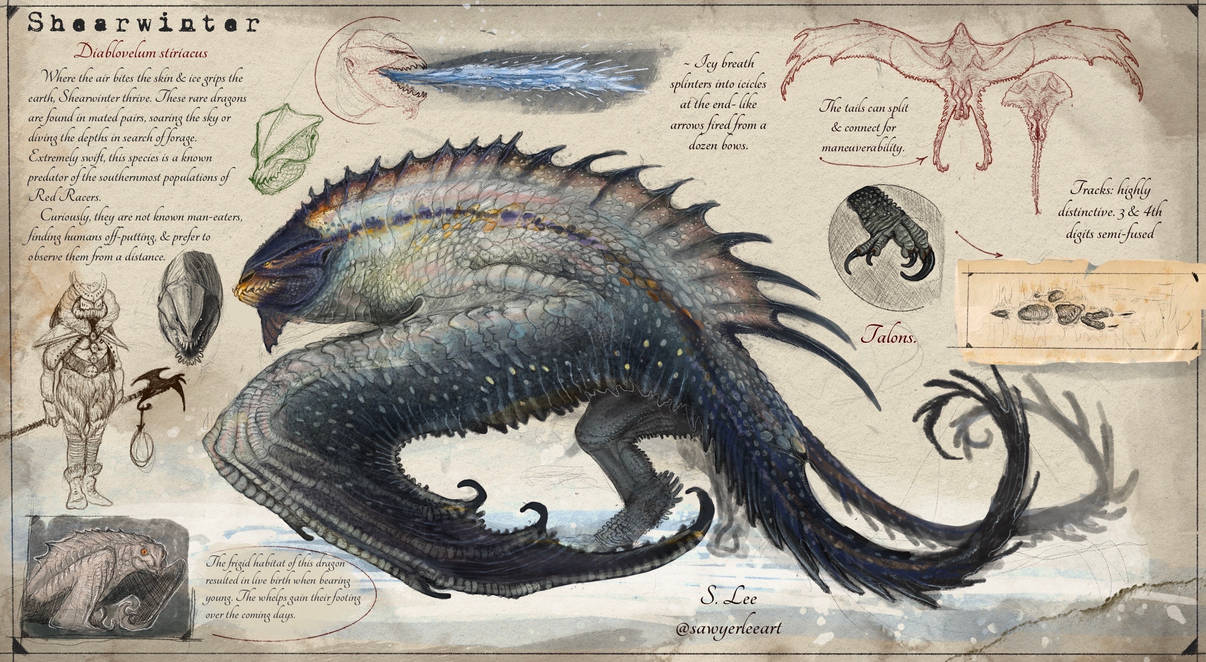 Slayer Codex Shearwinter species (Dragonslayer Codex) by SawyerLeeArt on DeviantArt