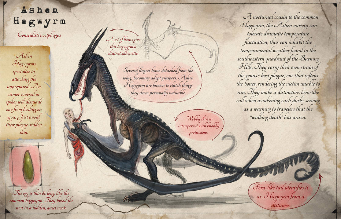 Slayer Codex Ashen Hagwyrm (Dragonslayer Codex) by SawyerLeeArt on DeviantArt