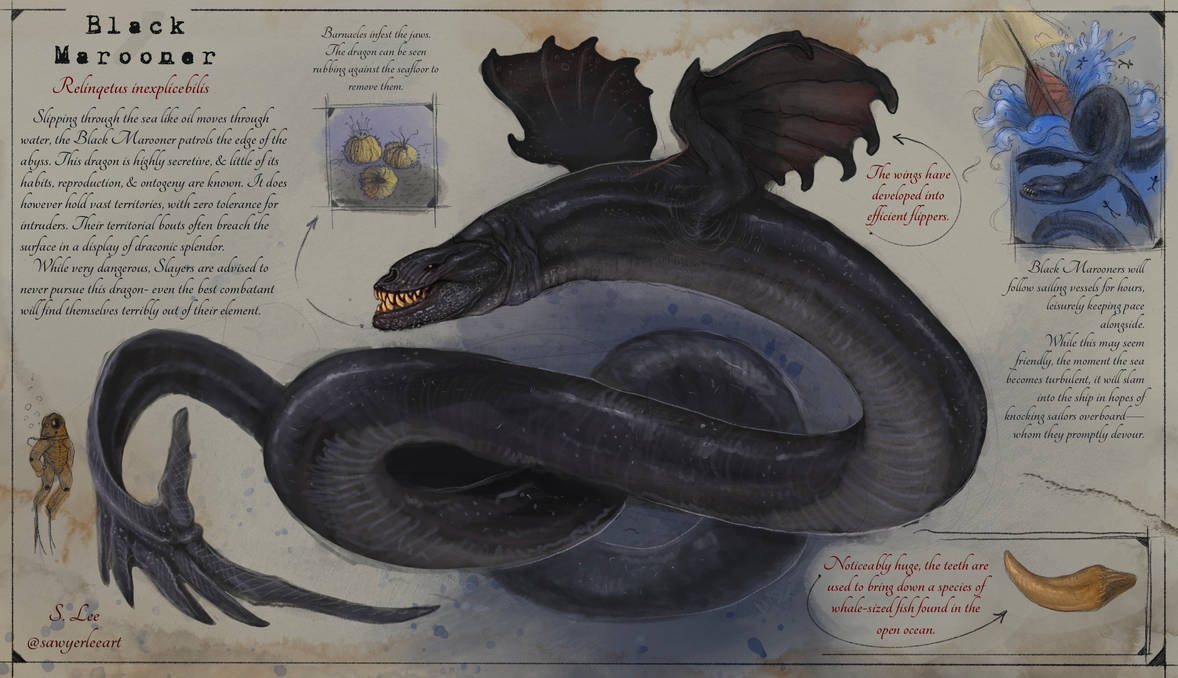 Slayer Codex Black Marooner (Dragonslayer Codex) by SawyerLeeArt on DeviantArt