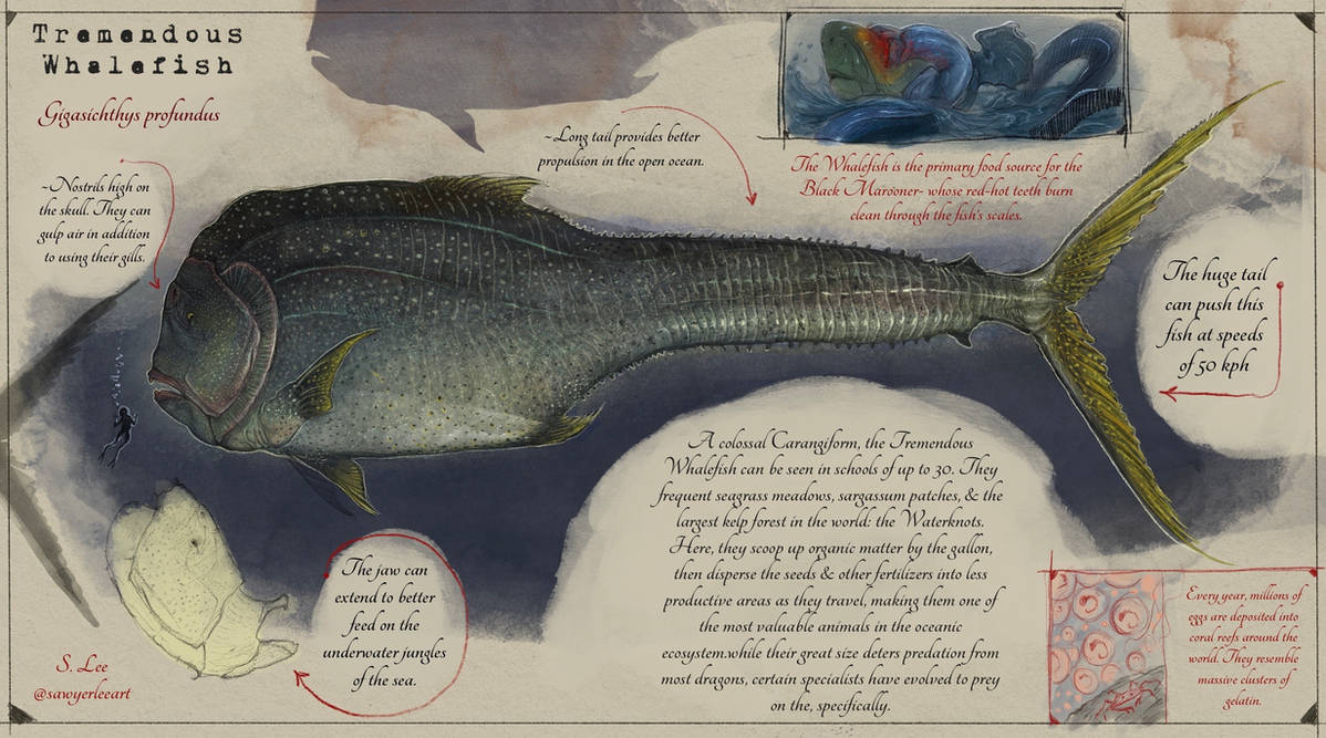 Fish Codex Tremendous Whalefish (Dragonslayer Codex) by SawyerLeeArt on DeviantArt