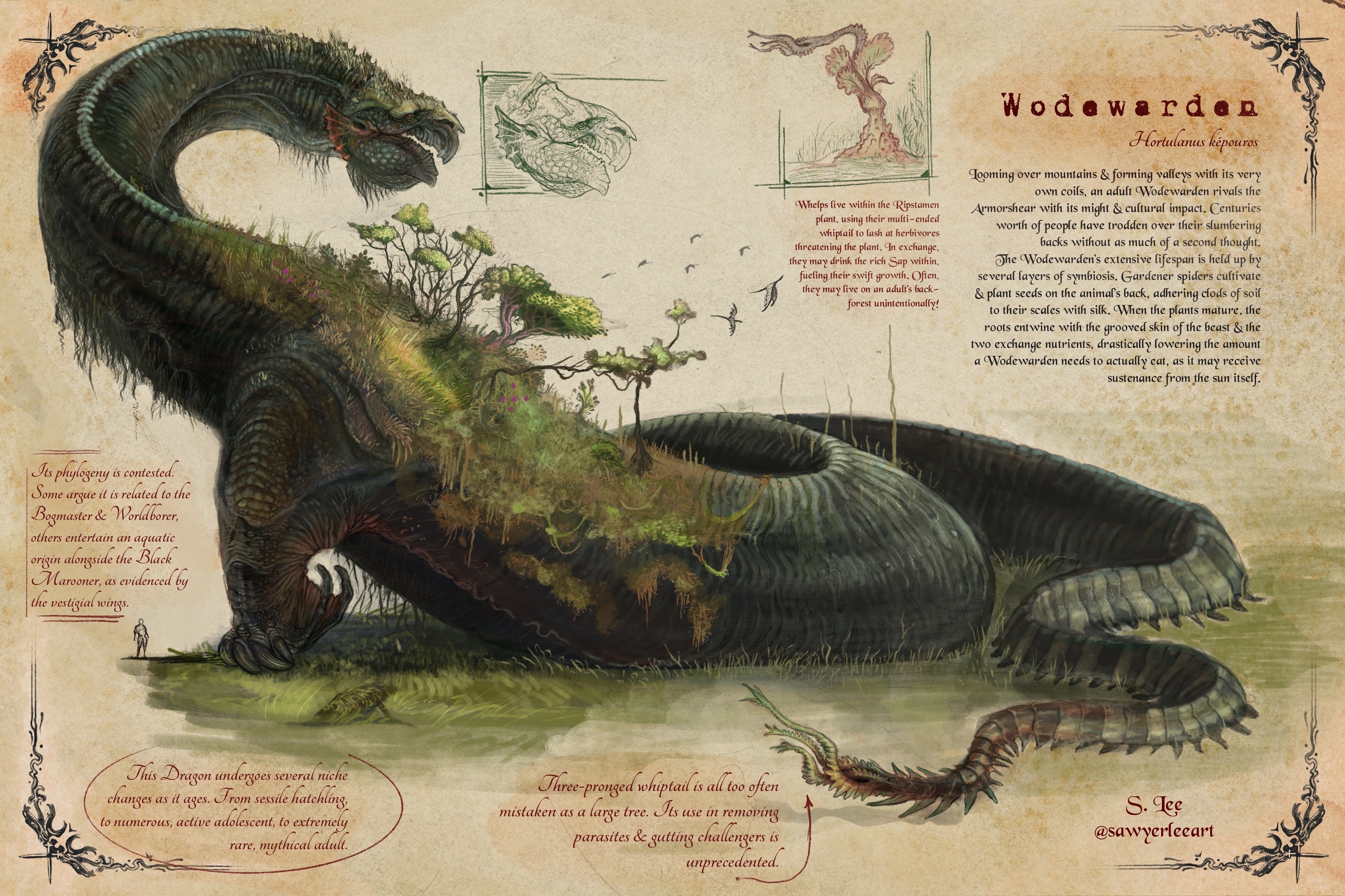 Slayer Codex Wodewarden (Dragonslayer Codex) by SawyerLeeArt on DeviantArt