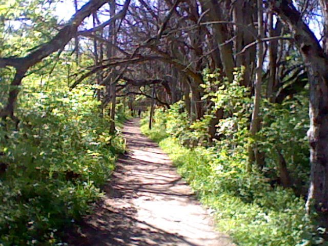 Afternoon Hike