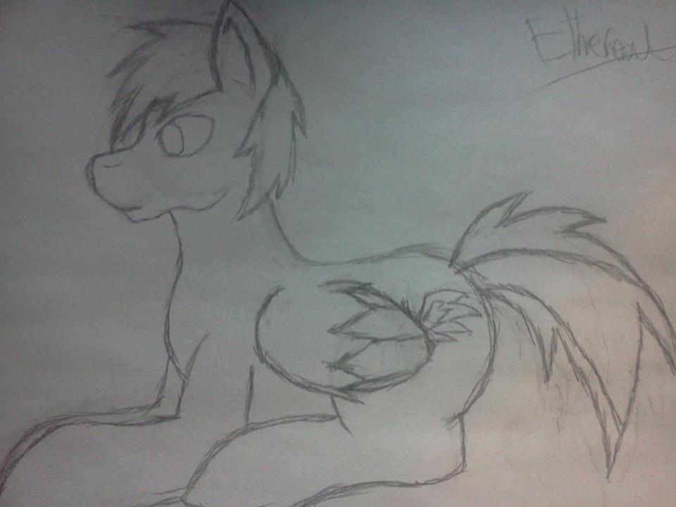 Random Pony Drawing?!?