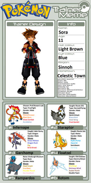 Trainer Profile: Sora (PokeFanon)