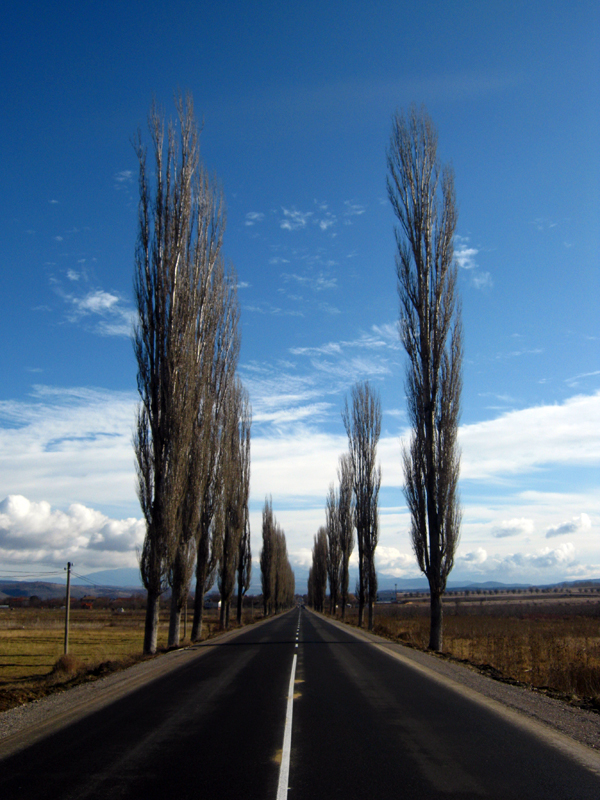 Sunny road to Bagrentsi