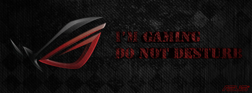 Republic Of Gamers Facebook Header