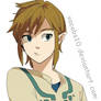 Link - Skyward Sword