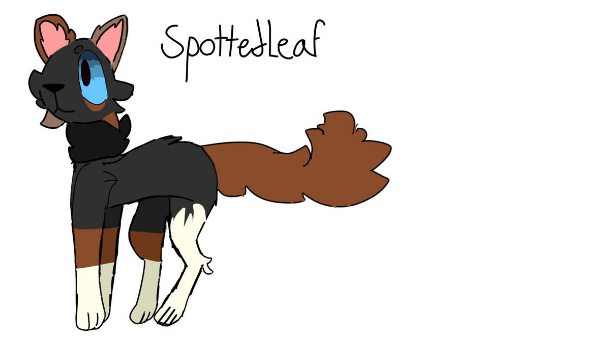 Spottedleaf Falling SpottedLeaf design by FinishedLaundry on DeviantArt