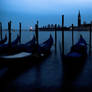 My Venice Night