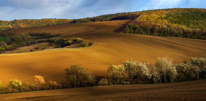 Moravian pastoral