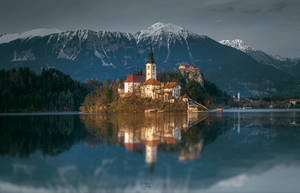 Bled