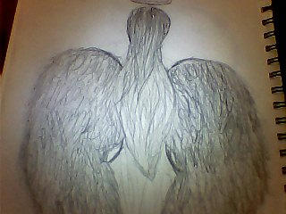 angel wings