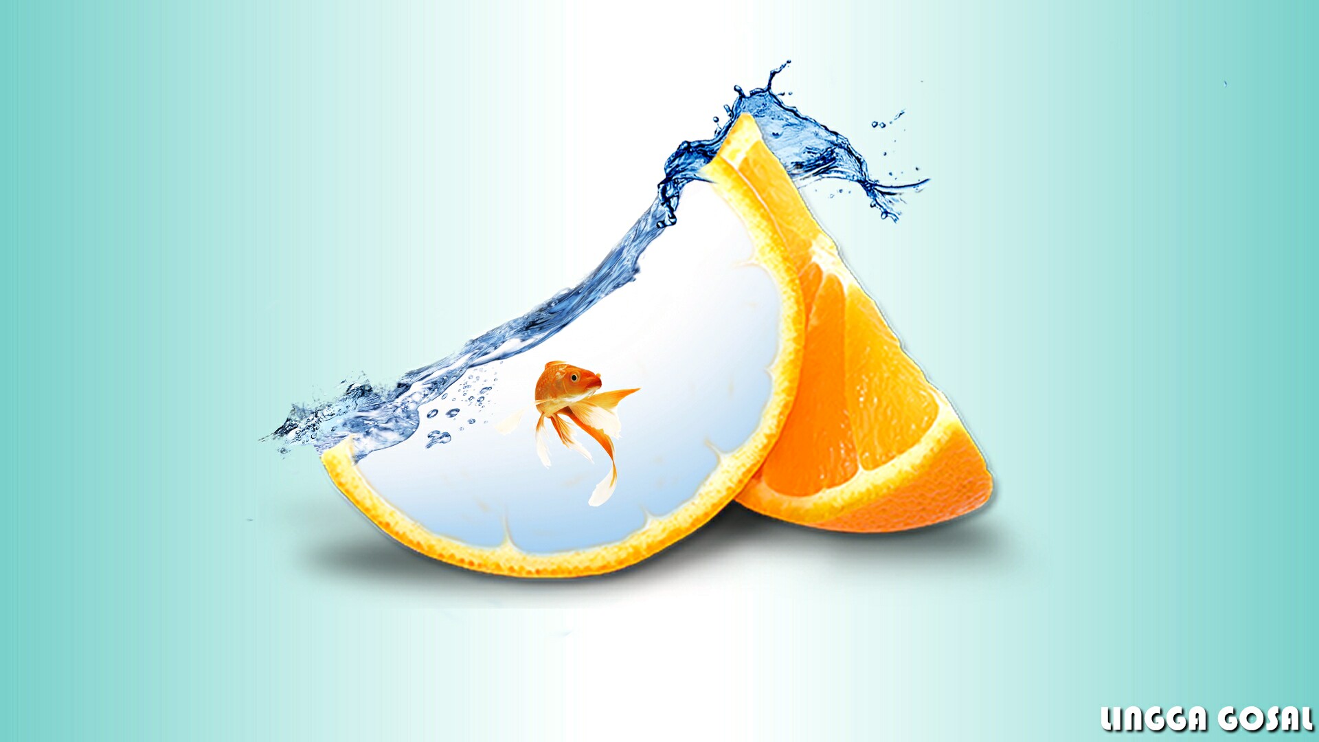 Orange fruit manipulation 1