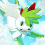 Com : Shaymin Sky form