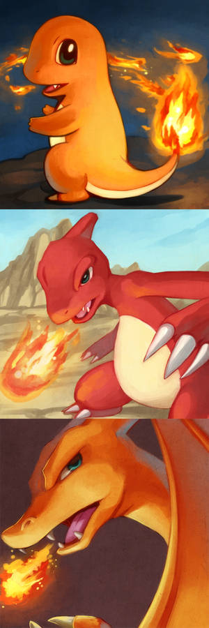 PKMN : Charmander- Charmeleon - Charizard