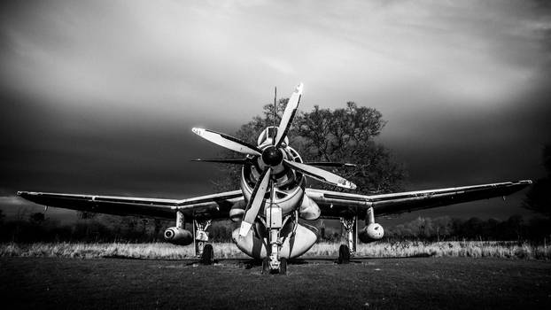 Fairey Gannet