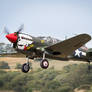 Curtiss P-40M Kittyhawk