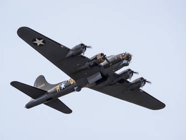 Boeing B-17G Flying Fortress Sally-B - Bomb Bay