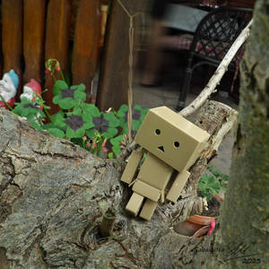 Danbo adventures 13