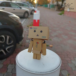 Danbo adventures 14